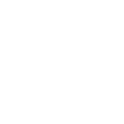 Perk icon