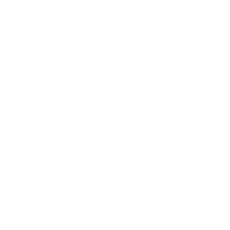 Perk icon