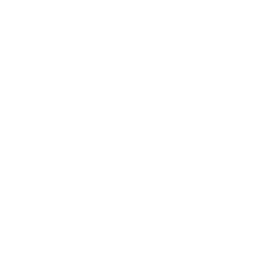 Perk icon