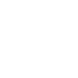 Perk icon