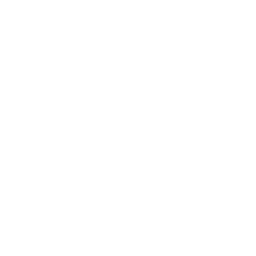 Perk icon