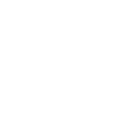 Perk icon