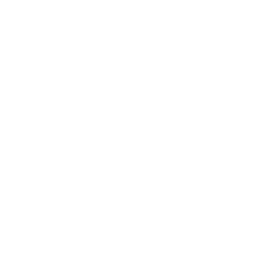 Perk icon
