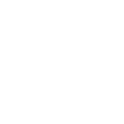 Perk icon
