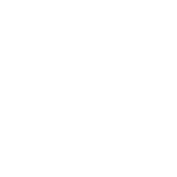Perk icon