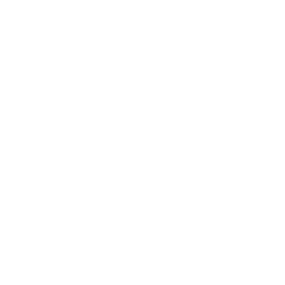 Perk icon