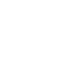 Perk icon