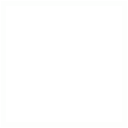 Skill Icon