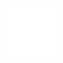Skill Icon