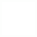 Skill Icon