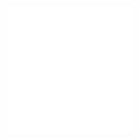 Skill Icon