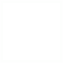 Skill Icon