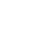 Skill Icon